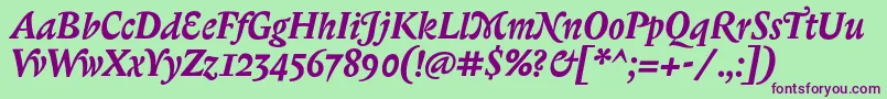 BiblonitcswashBolditalic Font – Purple Fonts on Green Background