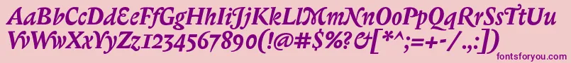 BiblonitcswashBolditalic Font – Purple Fonts on Pink Background