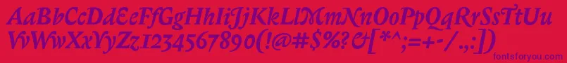 BiblonitcswashBolditalic Font – Purple Fonts on Red Background