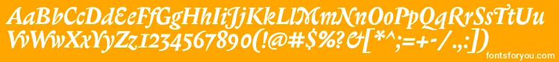 BiblonitcswashBolditalic Font – White Fonts on Orange Background