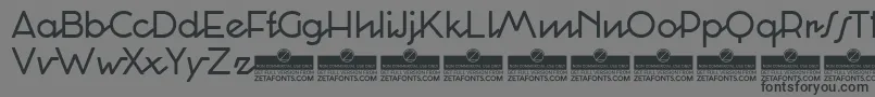 CocosignumCorsivoItalicoRegularTrial Font – Black Fonts on Gray Background
