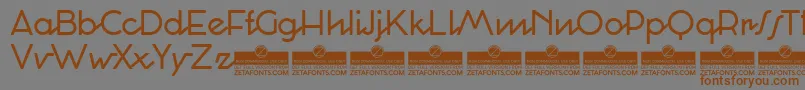 CocosignumCorsivoItalicoRegularTrial Font – Brown Fonts on Gray Background