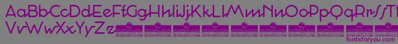 CocosignumCorsivoItalicoRegularTrial Font – Purple Fonts on Gray Background