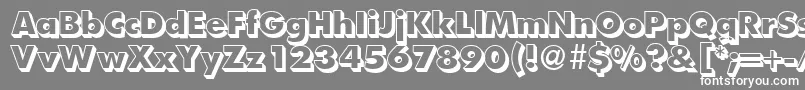 FunctiontwoshadedextraboldRegular-Schriftart – Weiße Schriften auf grauem Hintergrund