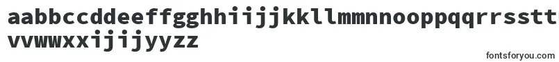 SourcecodeproBlack Font – Dutch Fonts