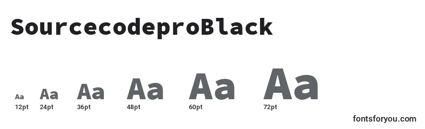 SourcecodeproBlack Font Sizes