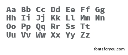 SourcecodeproBlack Font