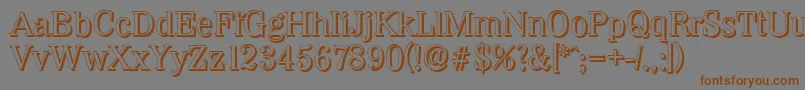 WichitashadowRegular Font – Brown Fonts on Gray Background