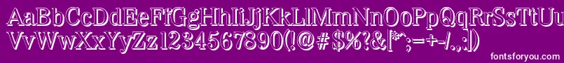 WichitashadowRegular Font – White Fonts on Purple Background