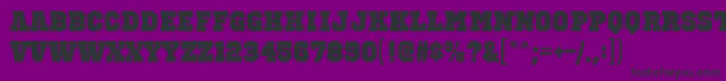 OctinsportsblRegular Font – Black Fonts on Purple Background