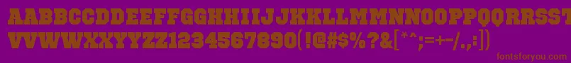 OctinsportsblRegular Font – Brown Fonts on Purple Background