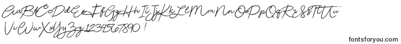 Beautydemo Font – Fonts for Adobe Illustrator