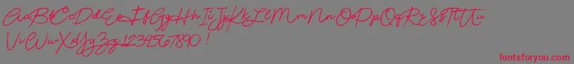 Beautydemo Font – Red Fonts on Gray Background