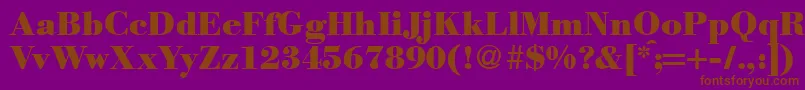 ModernbodoniheavyRegular Font – Brown Fonts on Purple Background