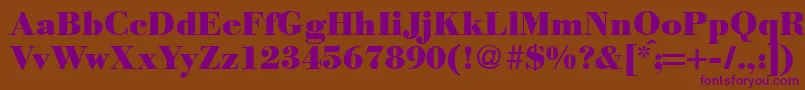 ModernbodoniheavyRegular Font – Purple Fonts on Brown Background