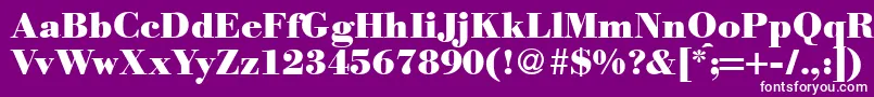 ModernbodoniheavyRegular Font – White Fonts on Purple Background