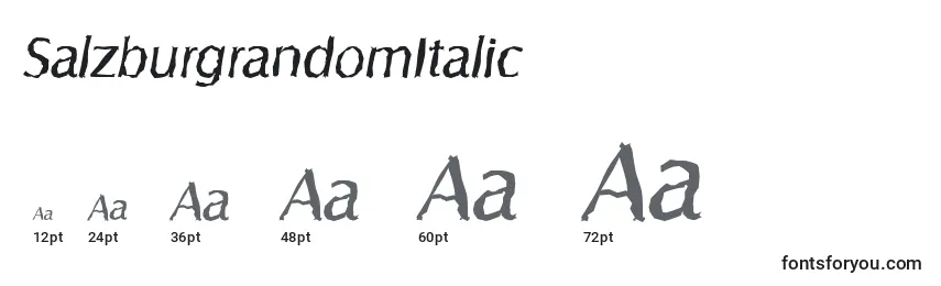 Размеры шрифта SalzburgrandomItalic