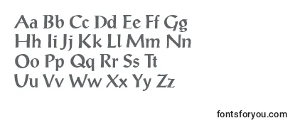 P790RomanBold Font