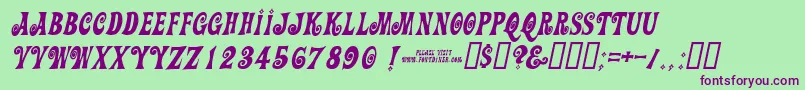 Actionisdiagonaljlitalic Font – Purple Fonts on Green Background