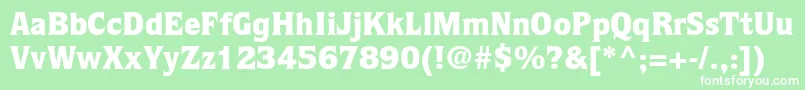 QuorumstdBlack Font – White Fonts on Green Background