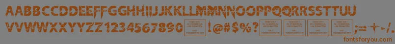 KnifefightballetRegular Font – Brown Fonts on Gray Background