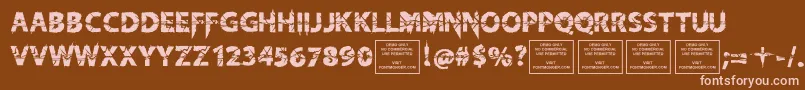 KnifefightballetRegular Font – Pink Fonts on Brown Background
