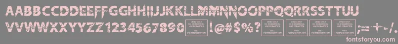 KnifefightballetRegular Font – Pink Fonts on Gray Background