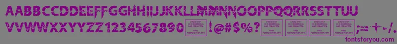 フォントKnifefightballetRegular – 紫色のフォント、灰色の背景