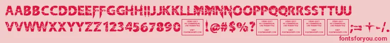 KnifefightballetRegular Font – Red Fonts on Pink Background
