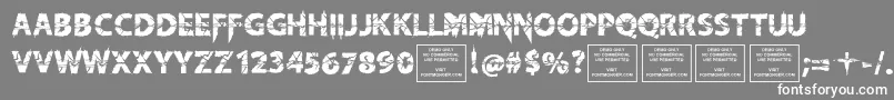 KnifefightballetRegular-Schriftart – Weiße Schriften auf grauem Hintergrund
