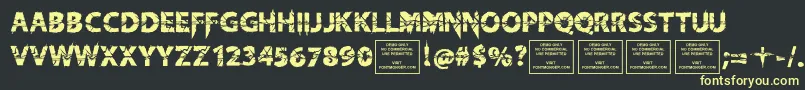 KnifefightballetRegular Font – Yellow Fonts on Black Background
