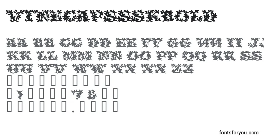 Schriftart VinecapssskBold – Alphabet, Zahlen, spezielle Symbole