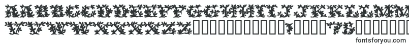 VinecapssskBold Font – Nature Fonts
