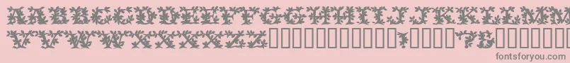 VinecapssskBold-Schriftart – Graue Schriften auf rosa Hintergrund