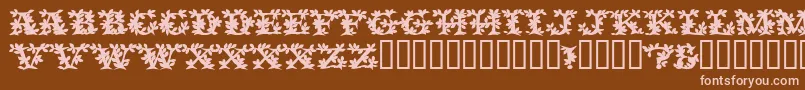 Шрифт VinecapssskBold – розовые шрифты на коричневом фоне