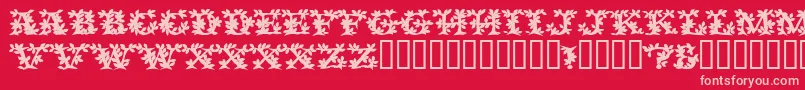 VinecapssskBold-Schriftart – Rosa Schriften auf rotem Hintergrund
