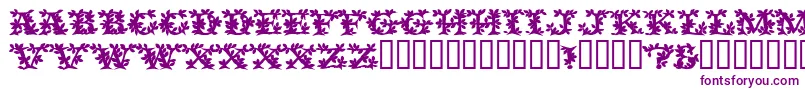 VinecapssskBold Font – Purple Fonts on White Background