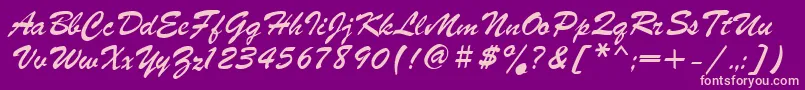 Asylbekm04parsek.Kz Font – Pink Fonts on Purple Background
