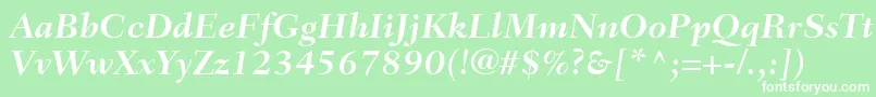 FairfieldLt76BoldItalic Font – White Fonts on Green Background