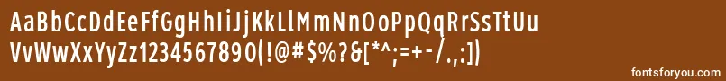 Roadgeek2005Series1b Font – White Fonts on Brown Background
