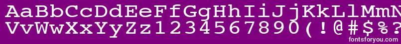 More about NtcouriervkNormal120n Font NtcouriervkNormal120n Font – White Fonts on Purple Background