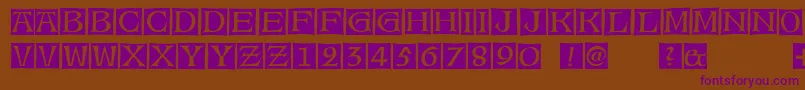 AlteCaps Font – Purple Fonts on Brown Background