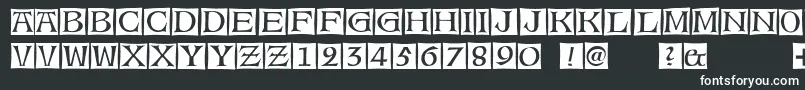 AlteCaps-fontti – valkoiset fontit mustalla taustalla