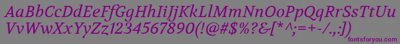 フォントVolkhovItalic – 紫色のフォント、灰色の背景