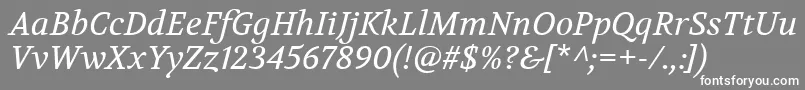 VolkhovItalic Font – White Fonts on Gray Background