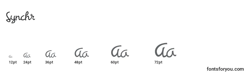 Synchr Font Sizes