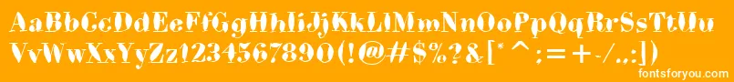 BodoniBrushItcTt Font – White Fonts on Orange Background