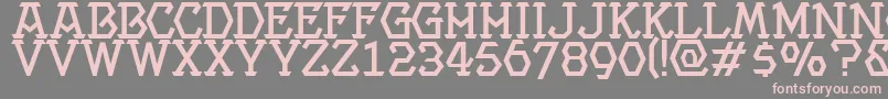 Projectmedium Font – Pink Fonts on Gray Background