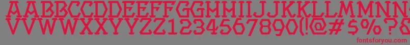 Projectmedium Font – Red Fonts on Gray Background