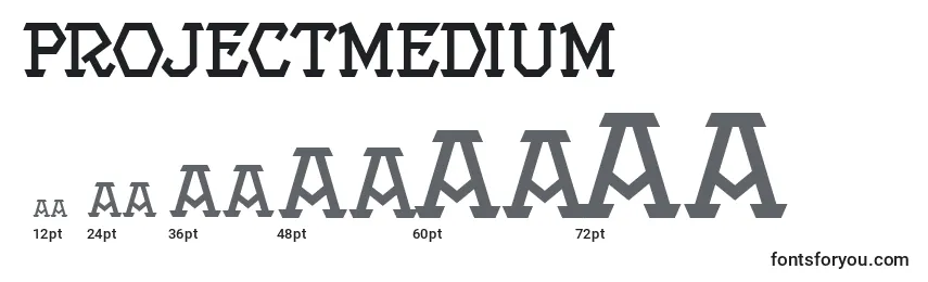 Размеры шрифта Projectmedium
